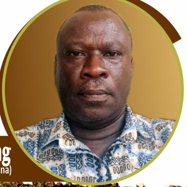 Prof. Kwame Agyei Frimpong